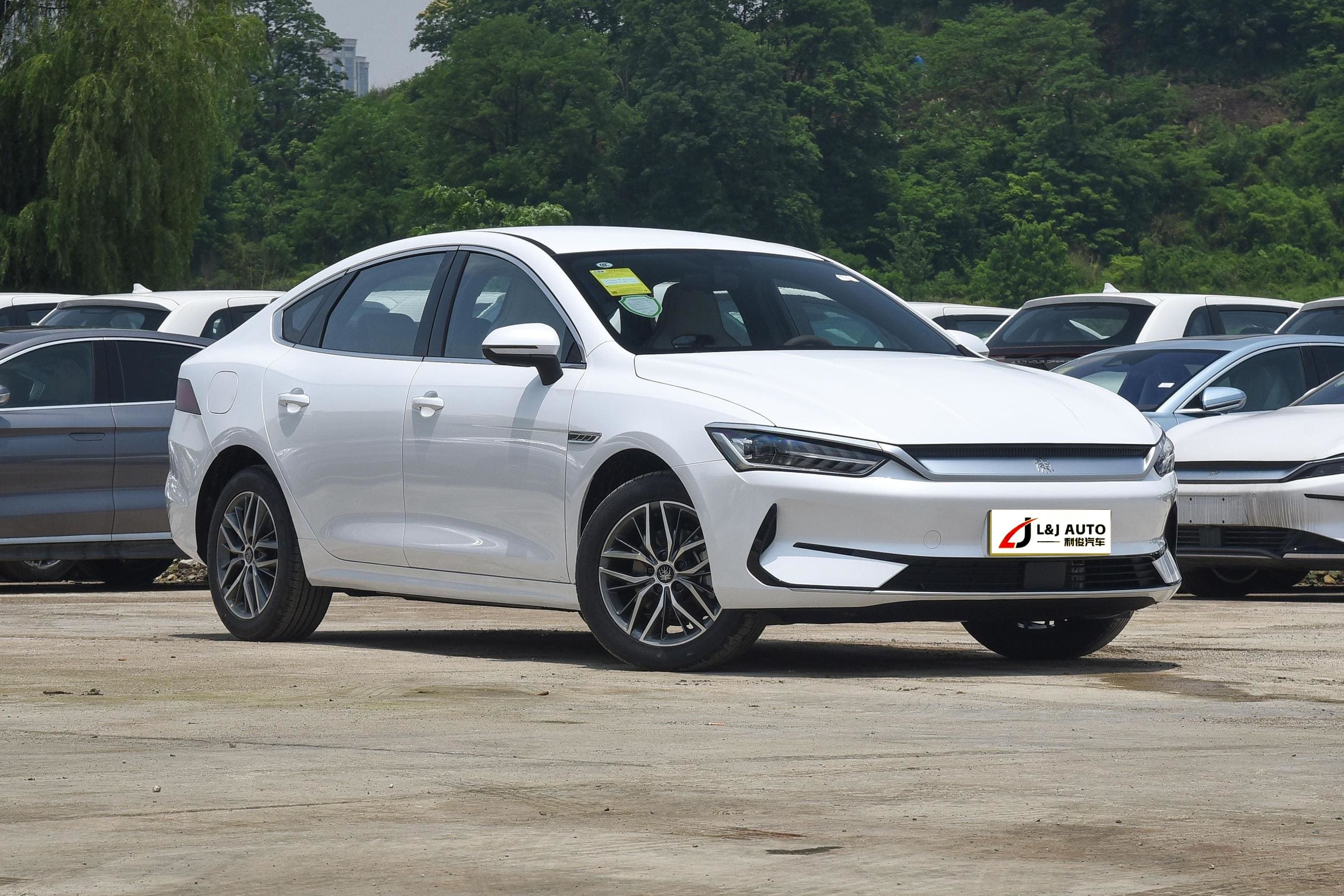 china ev